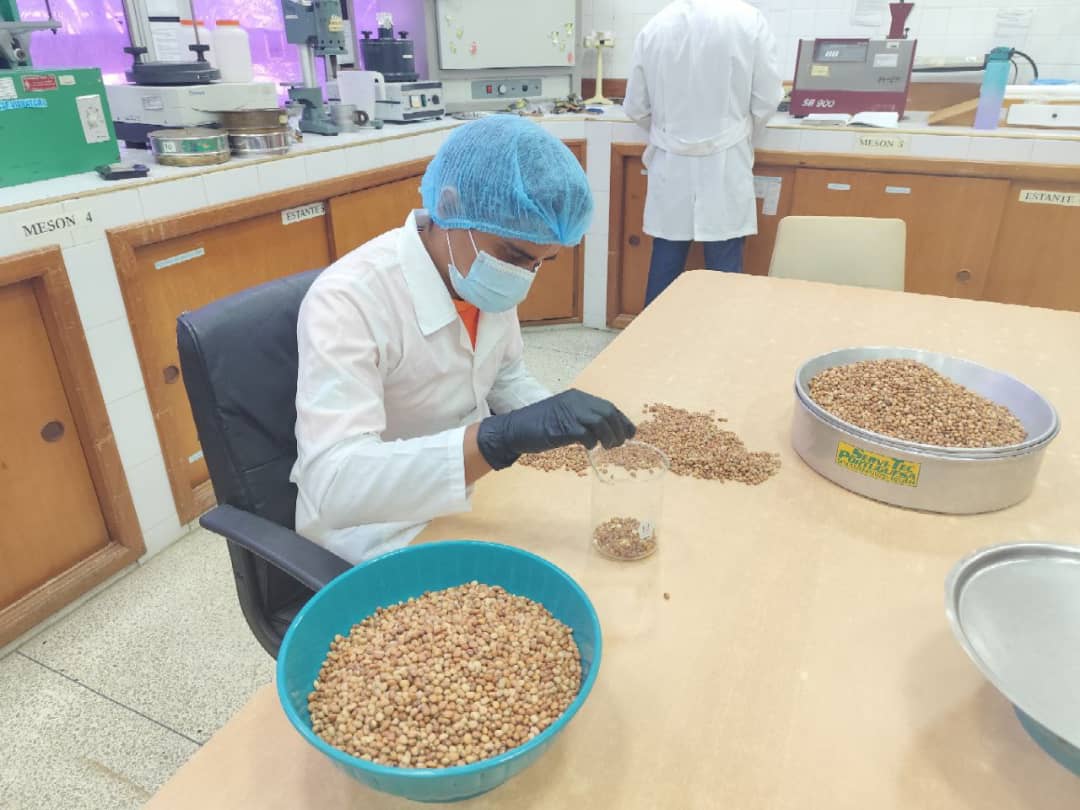Ciepe-Investigacion