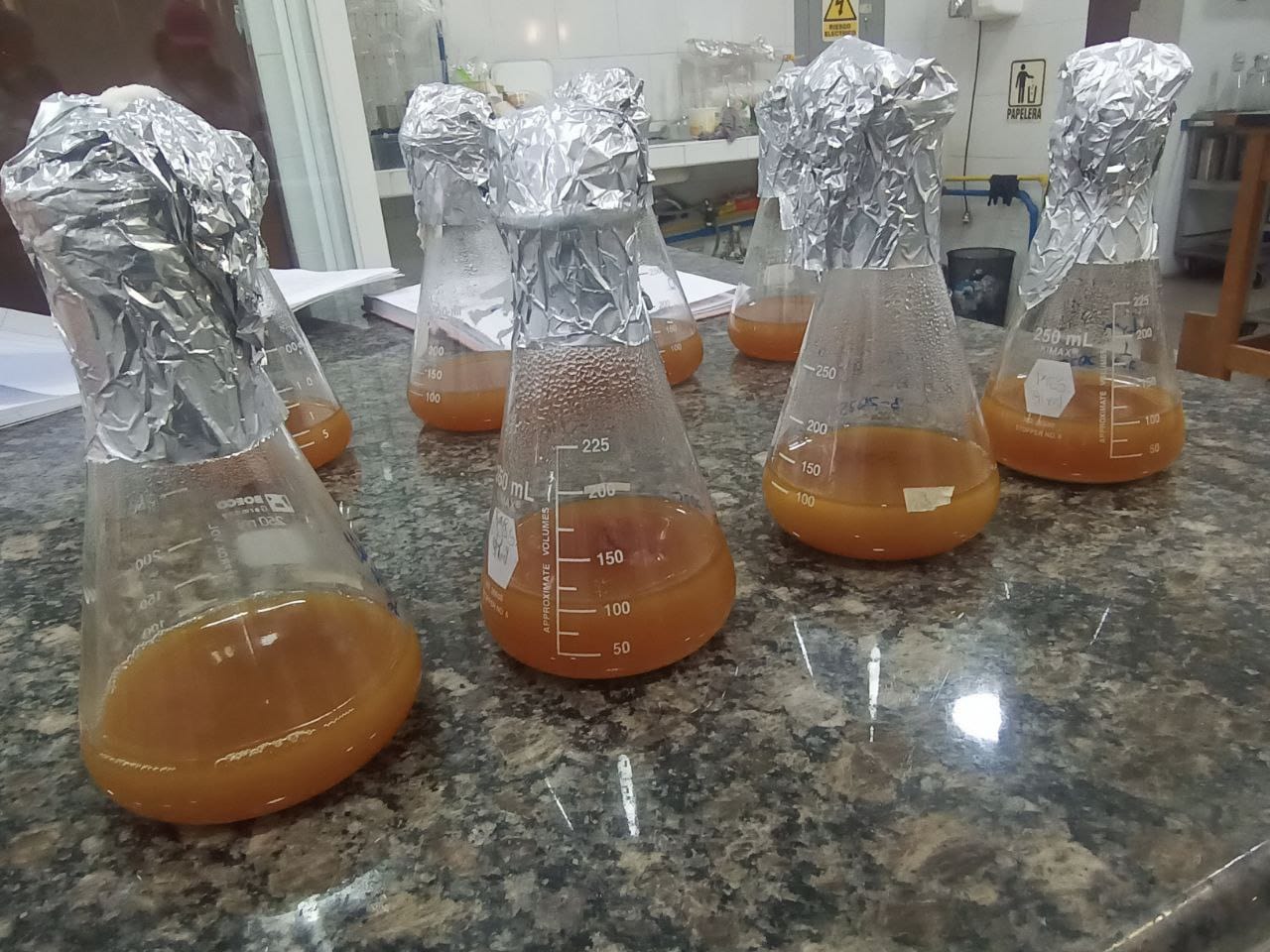 Ciepe-Nota-Tecnica