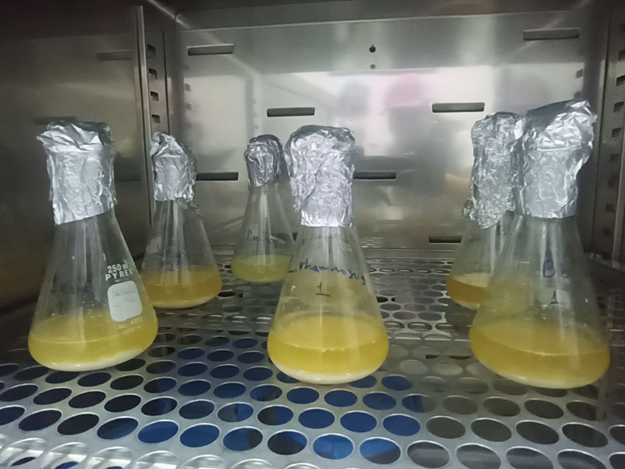 Ciepe-Nota-Tecnica
