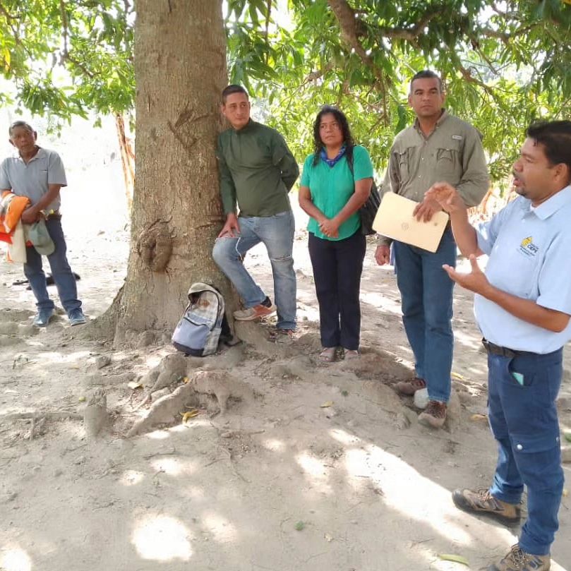 Imagen adicional