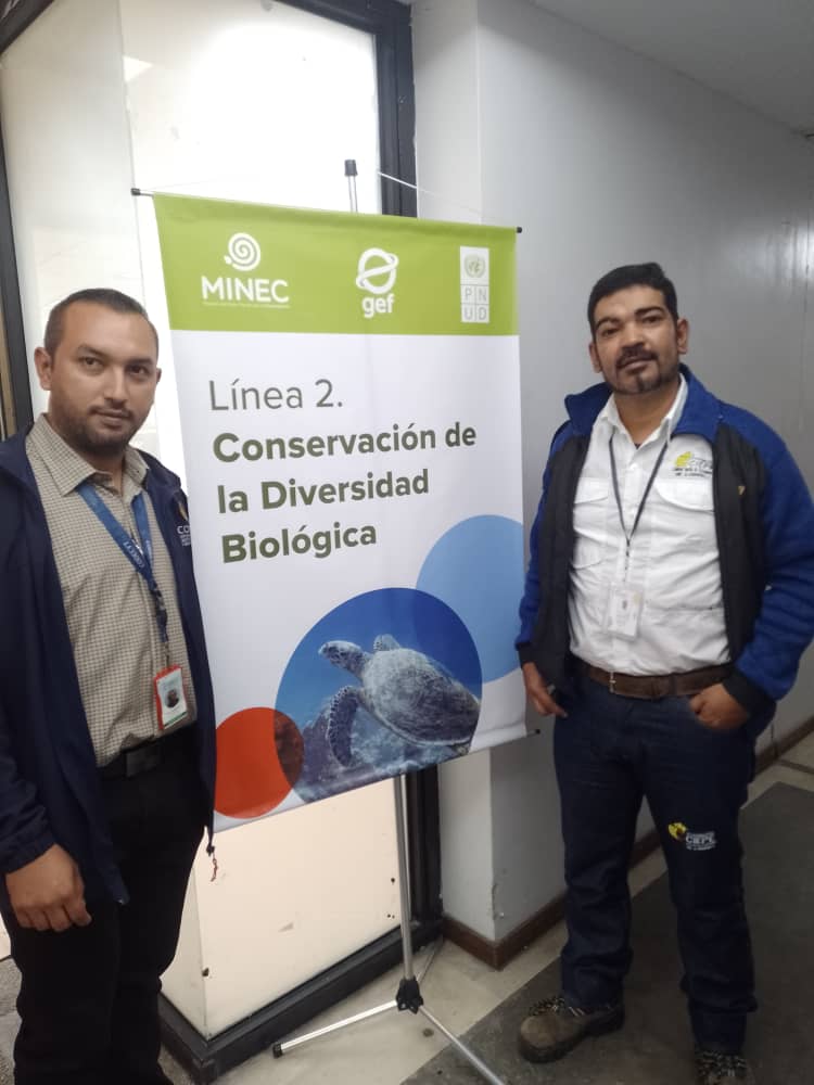 Imagen adicional
