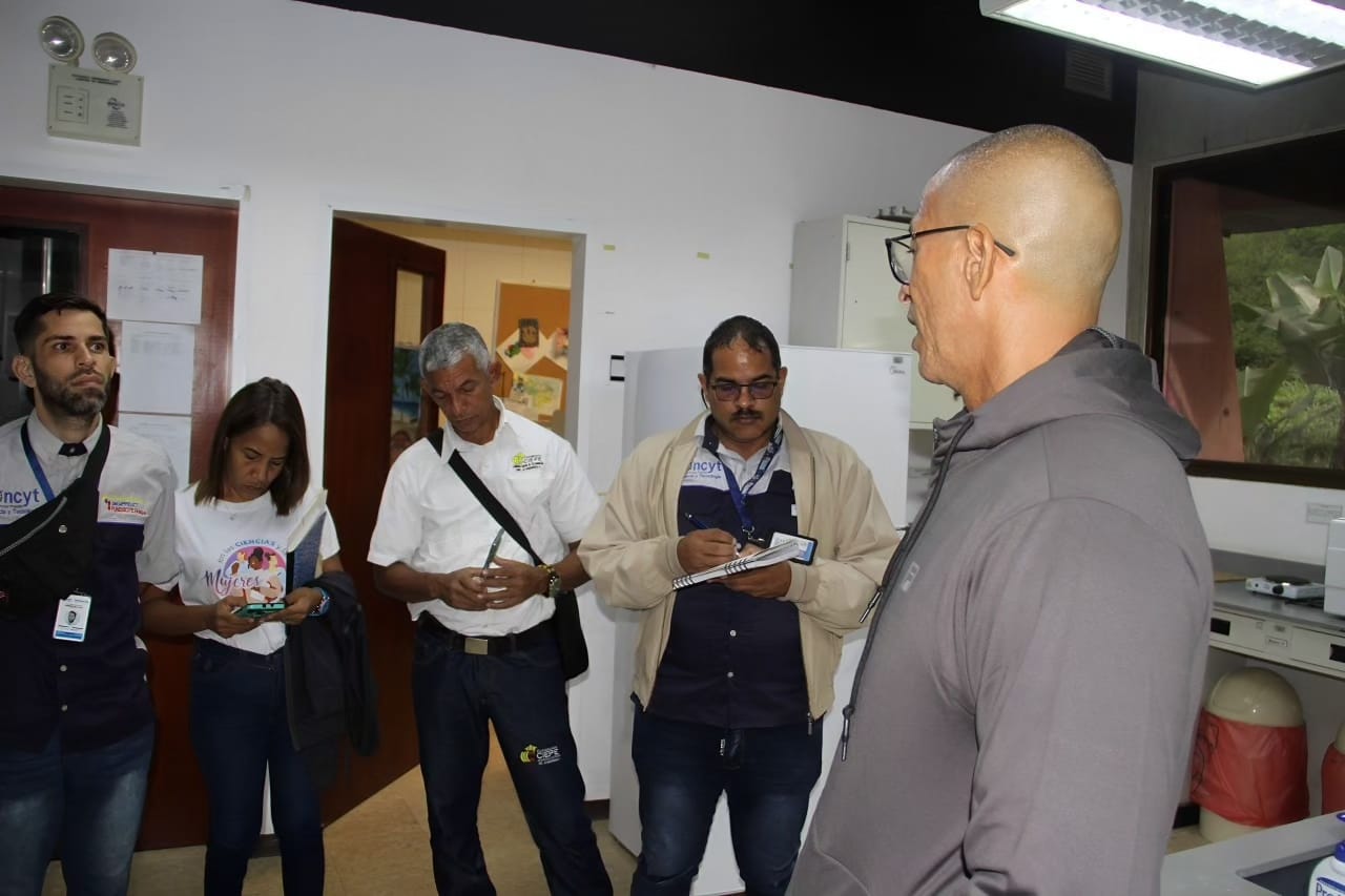 Imagen adicional