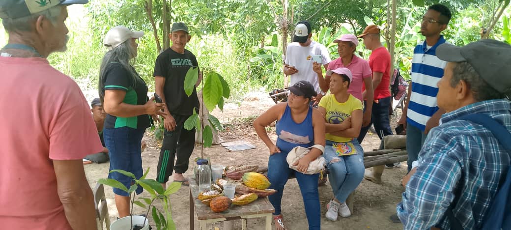 Productores del Municipio San Felipe participan en Taller en el Rubro del Cacao en el marco del APA 2024.