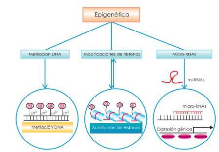 Ciepe-Noticias
