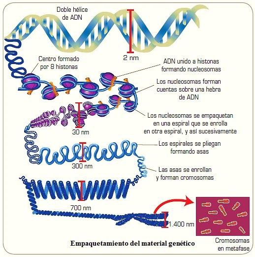 Ciepe-Noticias