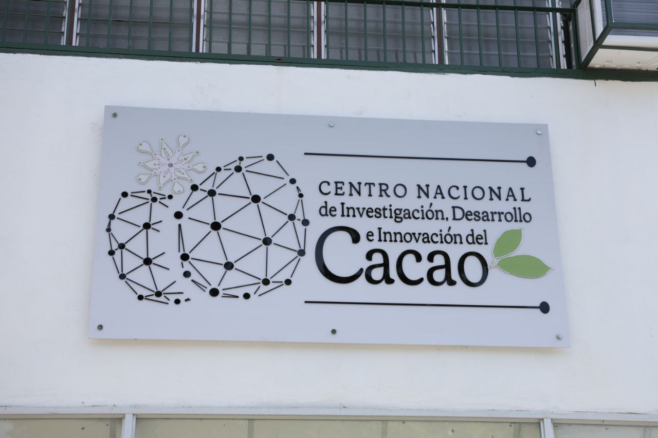 Imagen adicional
