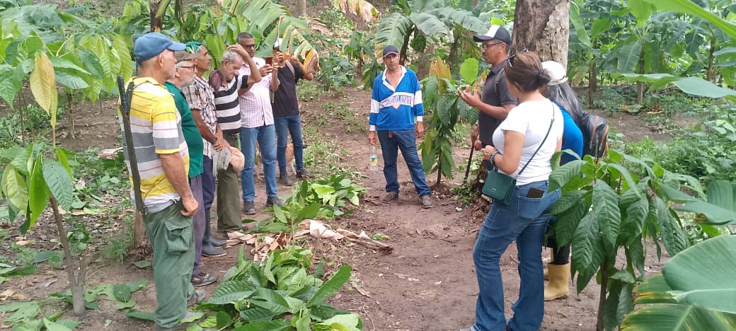 Fundación CIEPE Capacita a productores agricolas del consejo campesino Unión patriótico.