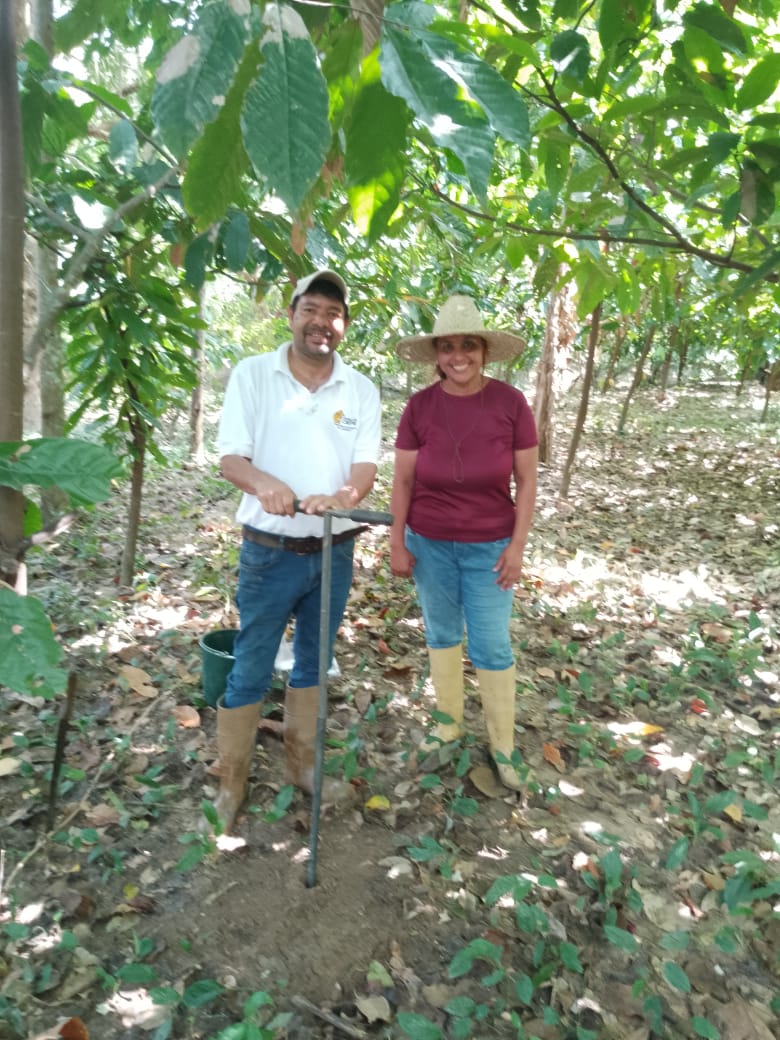 Imagen adicional