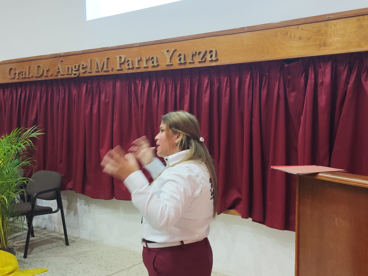 Imagen adicional
