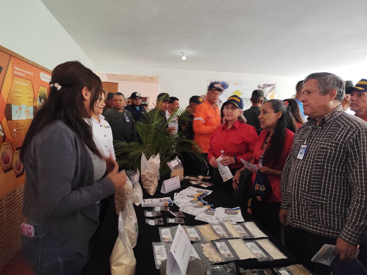 Imagen adicional