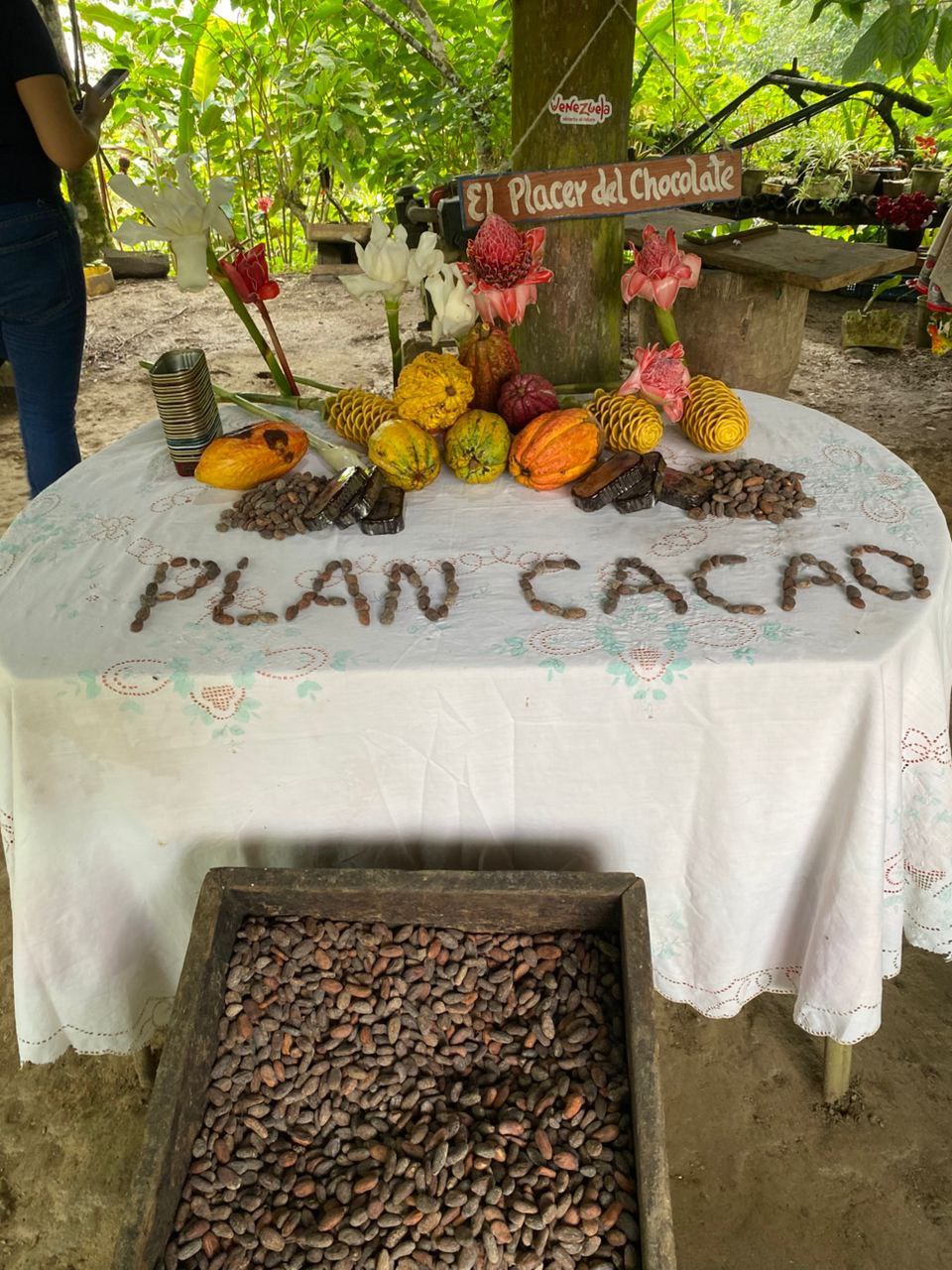 Imagen adicional