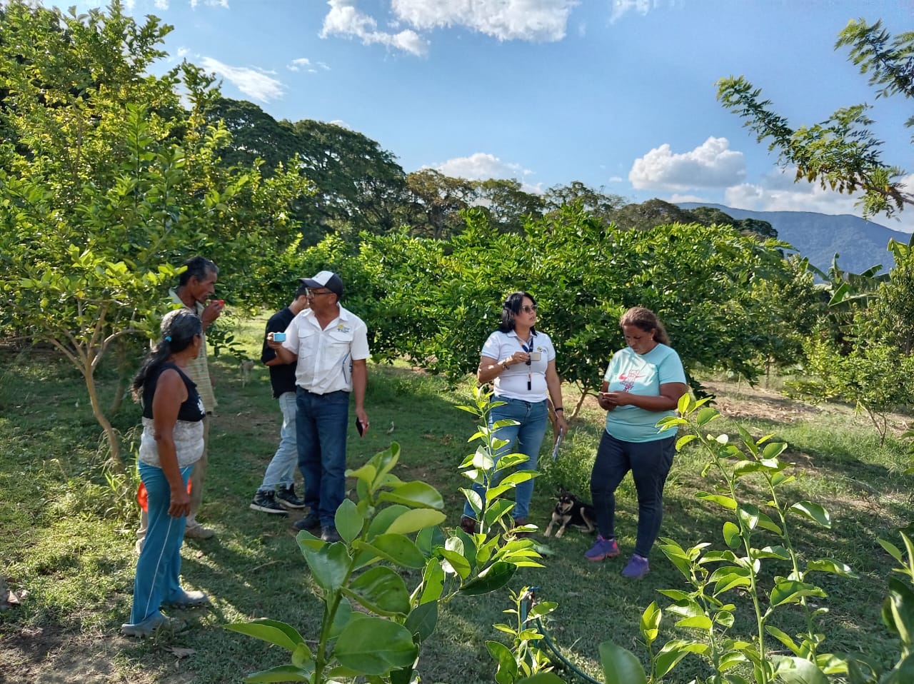 Productores de Valles de Bruzual fortalecen su labor con el acompañamiento técnico de la Fundación CIEPE