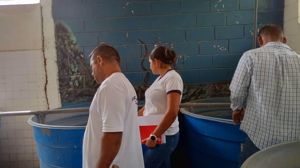 Ciepe-Noticias
