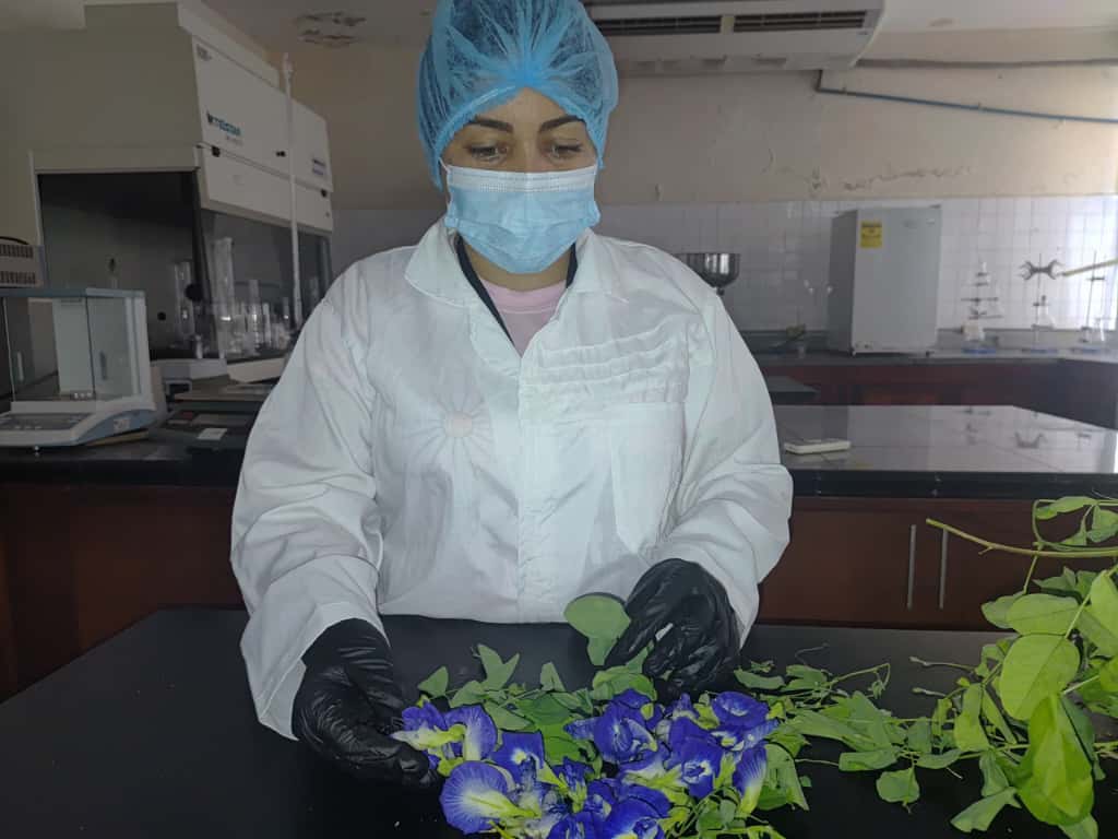 Fundación CIEPE impulsa soluciones sostenibles como Alternativas Proteicas para la Alimentación Animal