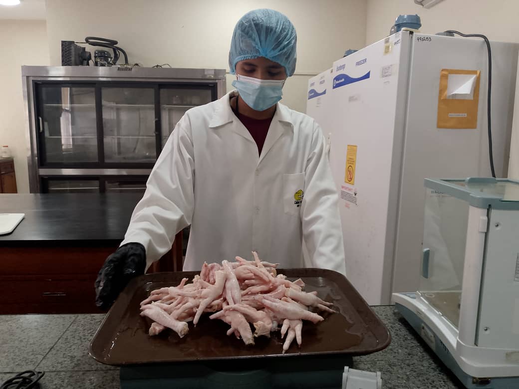 Fundación CIEPE impulsa la innovación alimentaria con proyecto de colágeno en productos lácteos