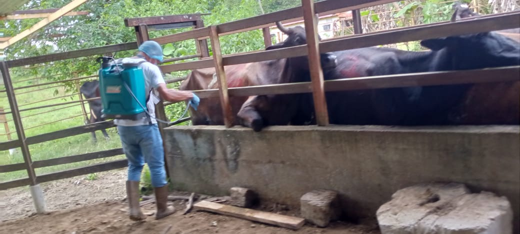 Fundación CIEPE participa en el control integrado de Vectores desplegado en Barinas