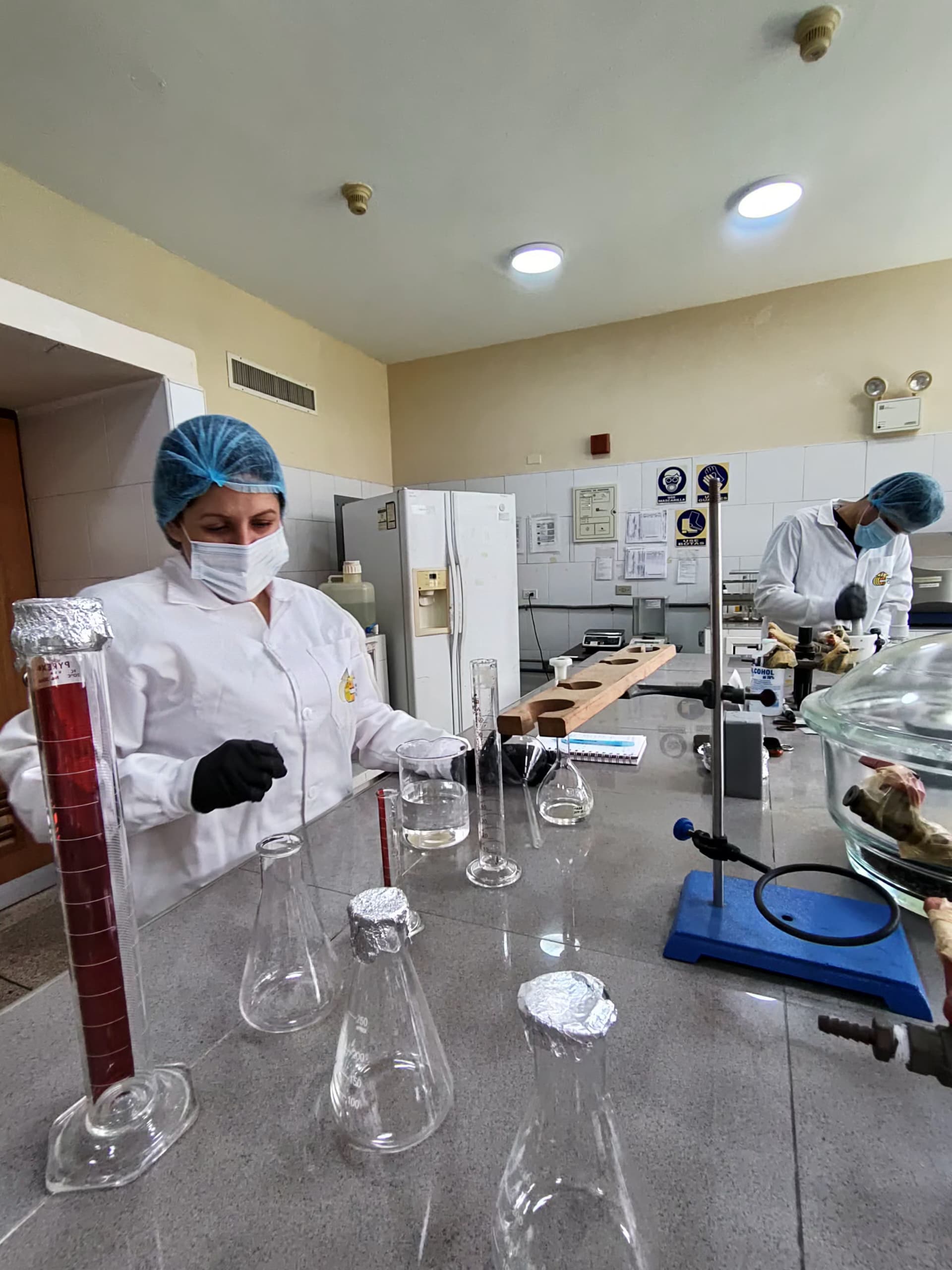 Fundación CIEPE Evalúa el Propóleo de Abejas como Bioconservante Natural y Sostenible en Alimentos