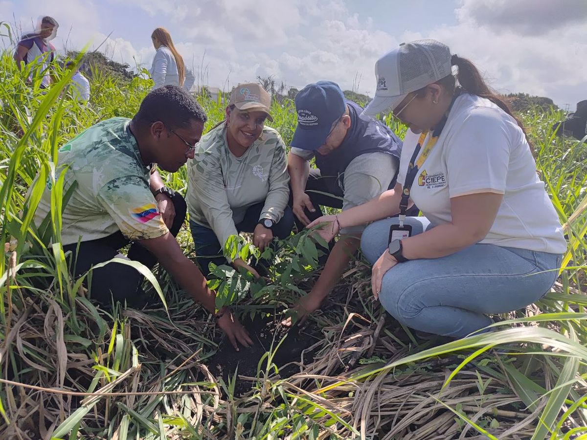 Fundación CIEPE participó en jornada de reforestación ambiental en Yaracuy