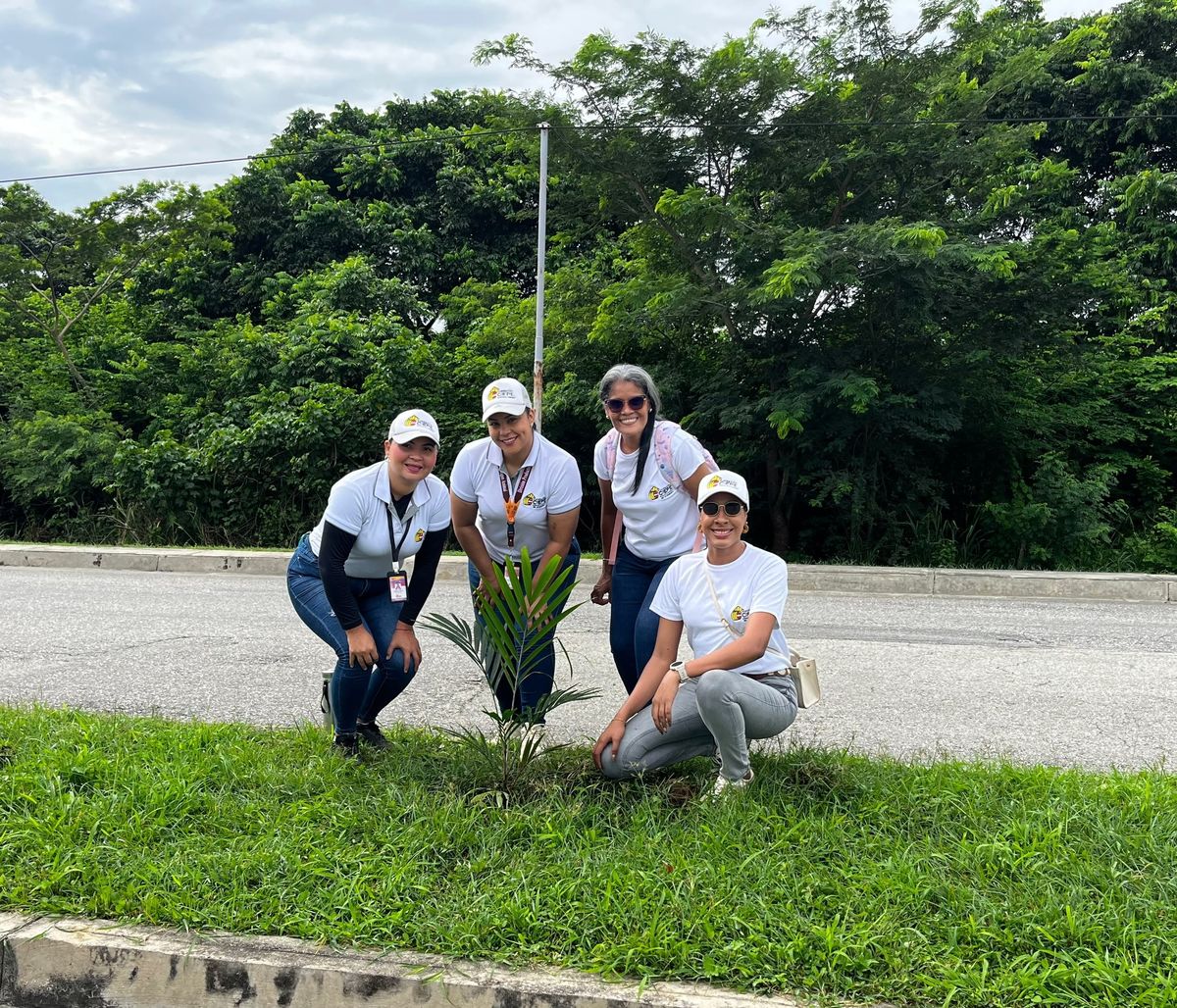Fundación CIEPE y Misión Árbol impulsan jornada de reforestación en el estado Yaracuy