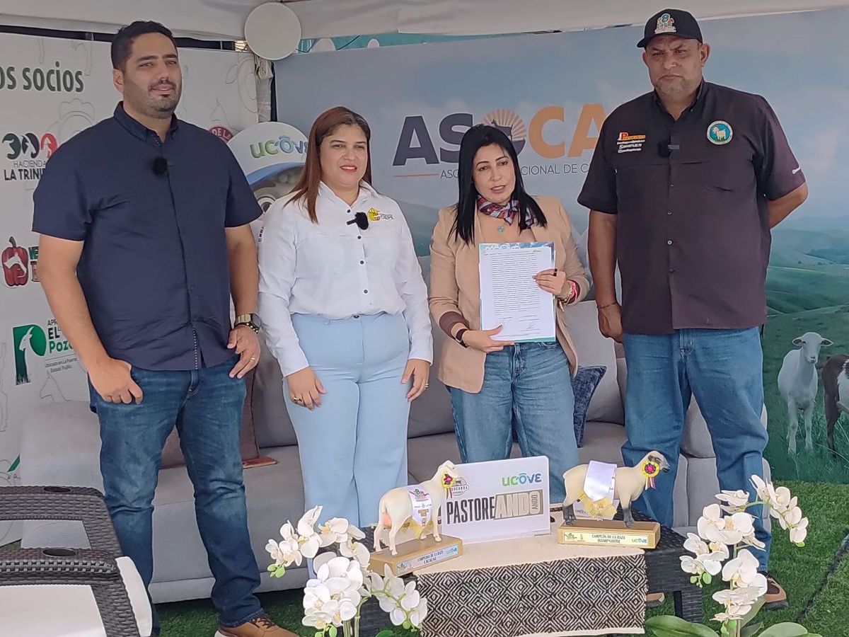 Imagen adicional