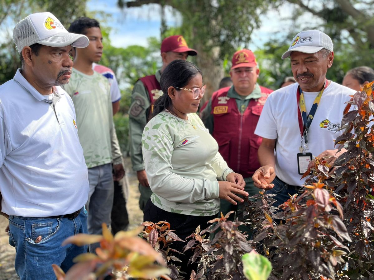 Investigadores de la Fundación Ciepe capacitan al personal de la Misión Árbol y la Guardia Nacional en Yaracuy