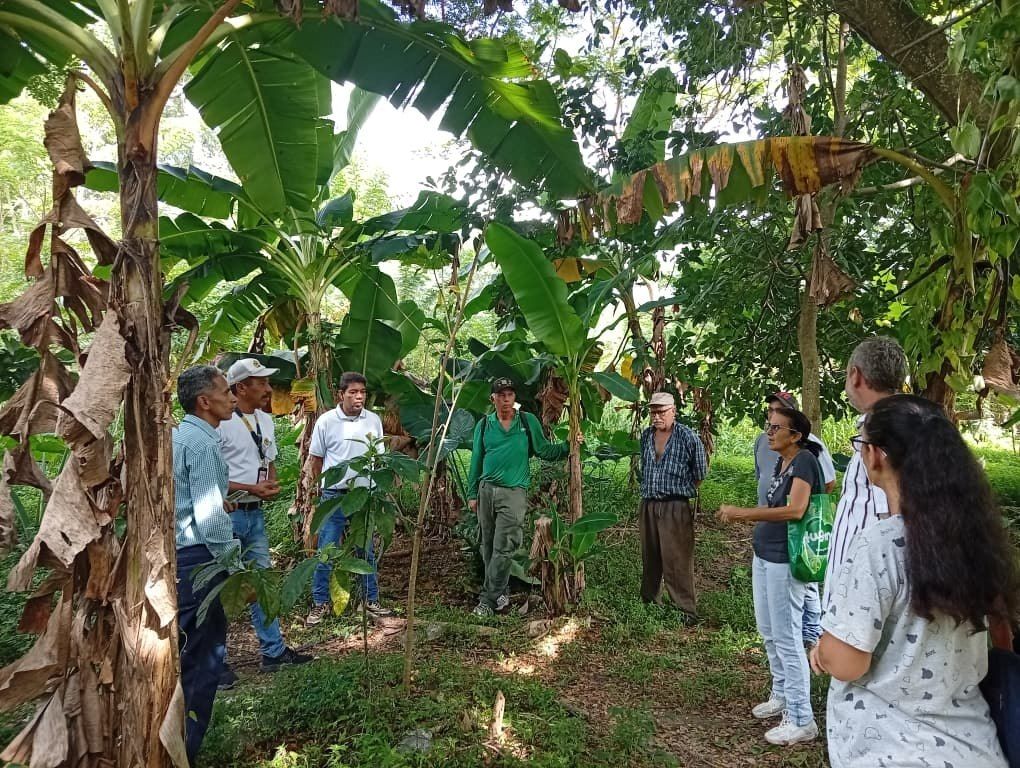 CIEPE capacita a productores de Yaracuy en el manejo agroecológico y postcosecha del cacao