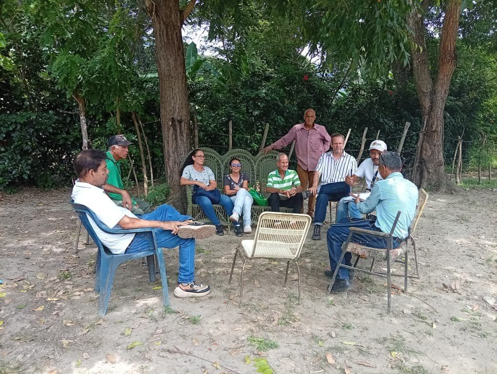 Imagen adicional